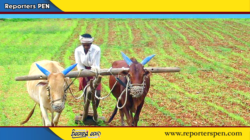 ଆସନ୍ତା ୨୨ ରୁ ଓଡ଼ିଶାର କୃଷି ମହାକୁମ୍ଭ ଆରମ୍ଭ ହେବ